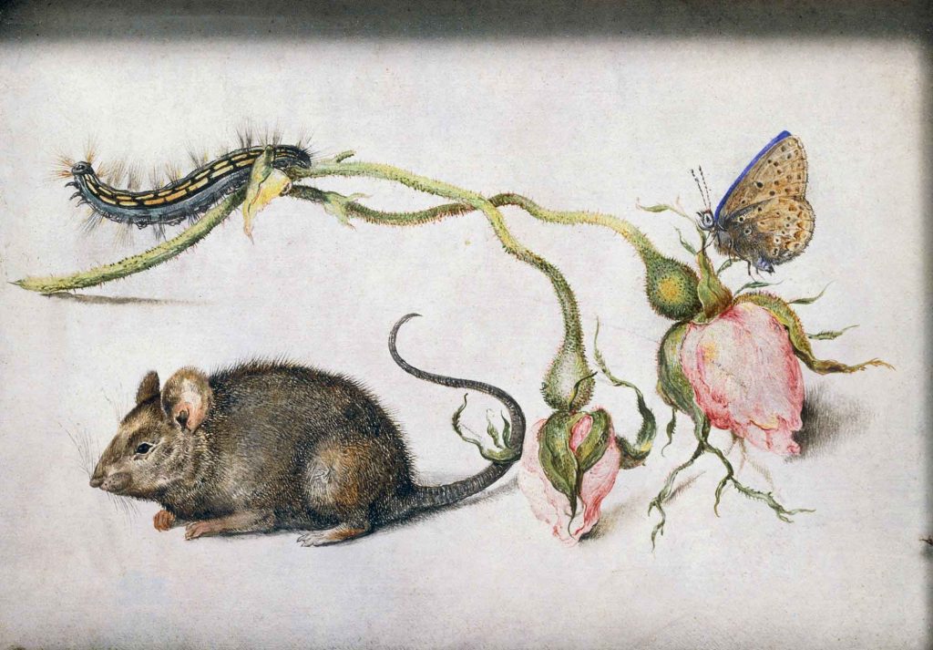 Mouse with Roses