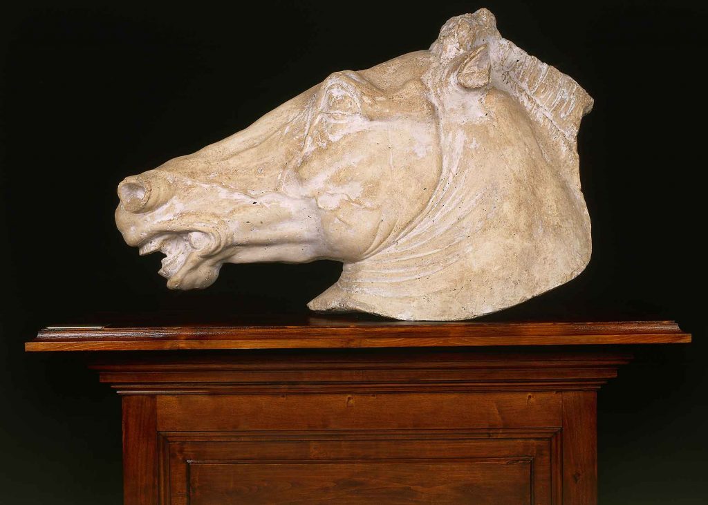 Testa di cavallo (copia dal monumento equestre di Marco Aurelio sul Campidoglio)