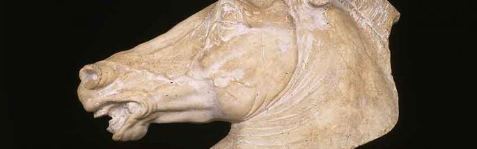Horse’s head (Copy from the equestrian monument to Marcus Aurelius on the Capitol in Rome)