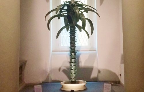 THE COPPER PALM TREE OF CARDINAL FEDERICO BORROMEO | LAST PART